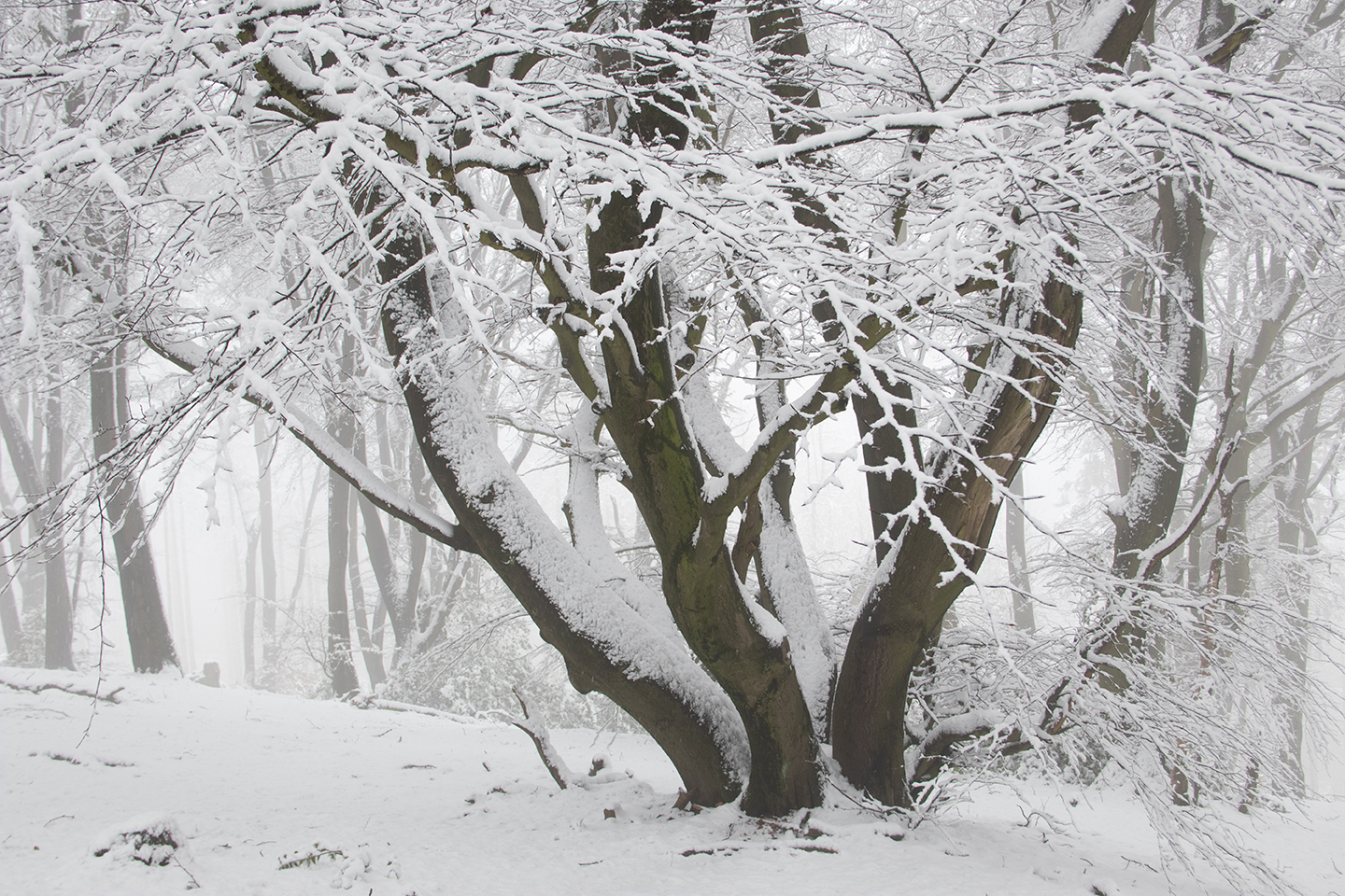 Teutoburger Wald Kalender